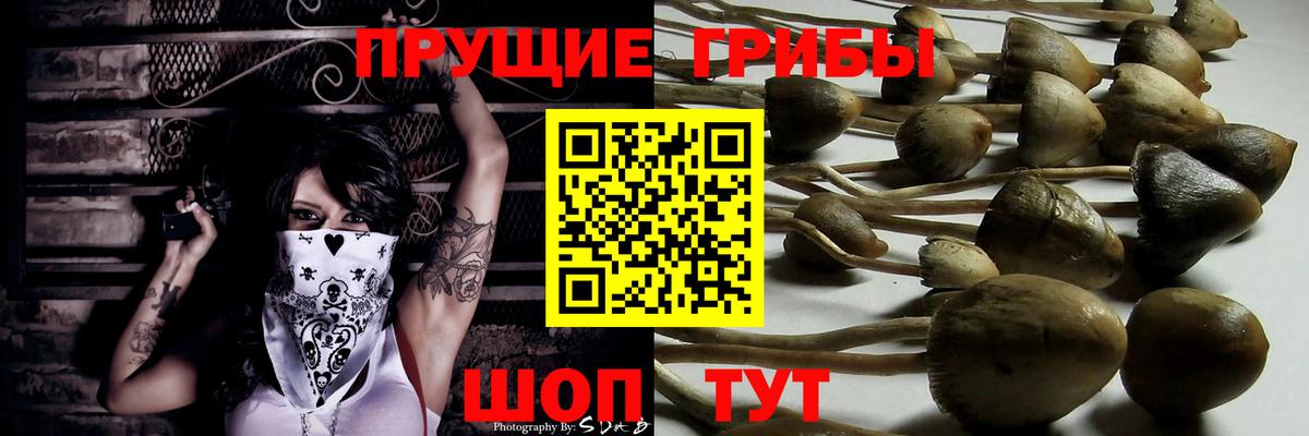 Кохма  Галлюциногенные грибы мухоморы  Вход с VPN 